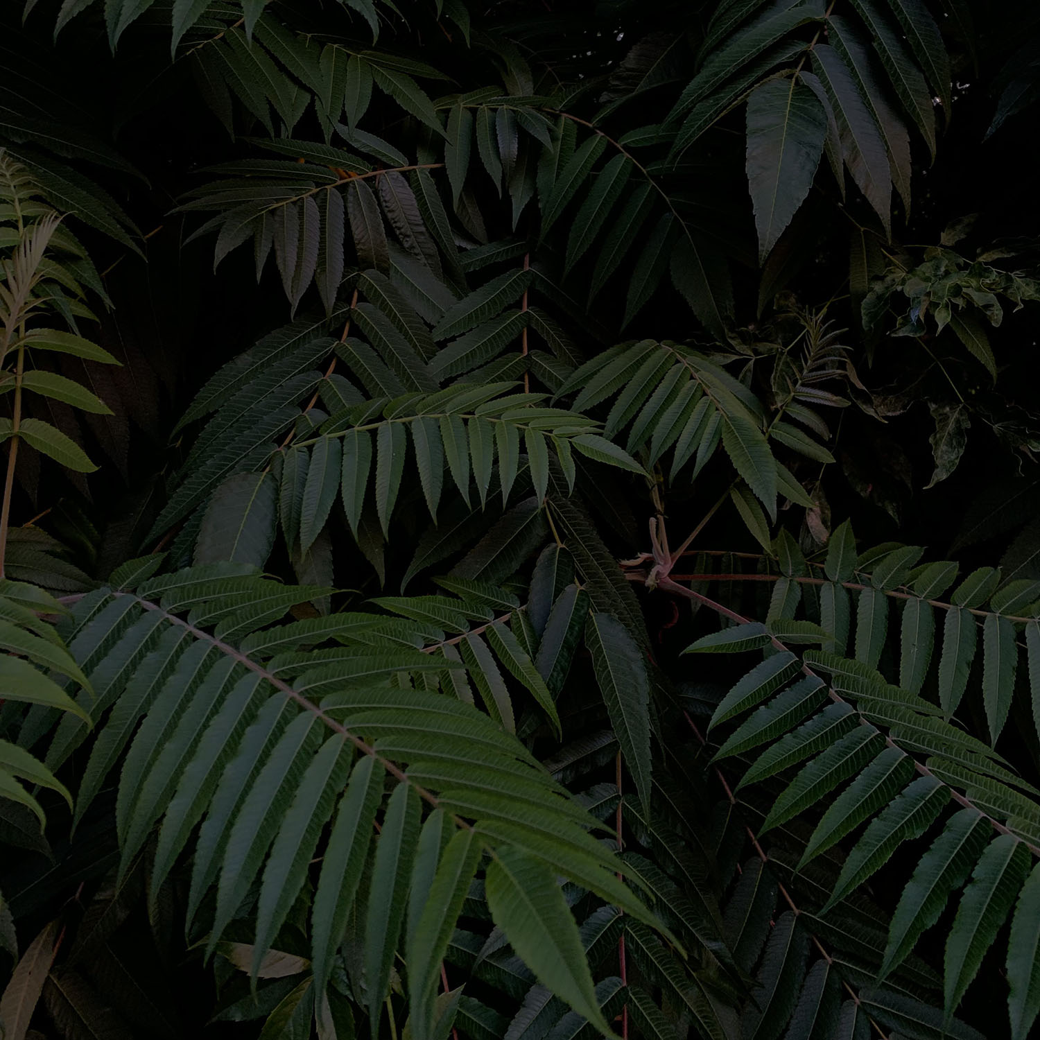 /images/swiper/swipe-6-1500px.jpg